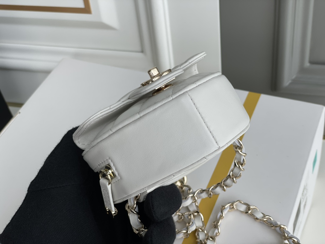 Chanel Satchel Bags